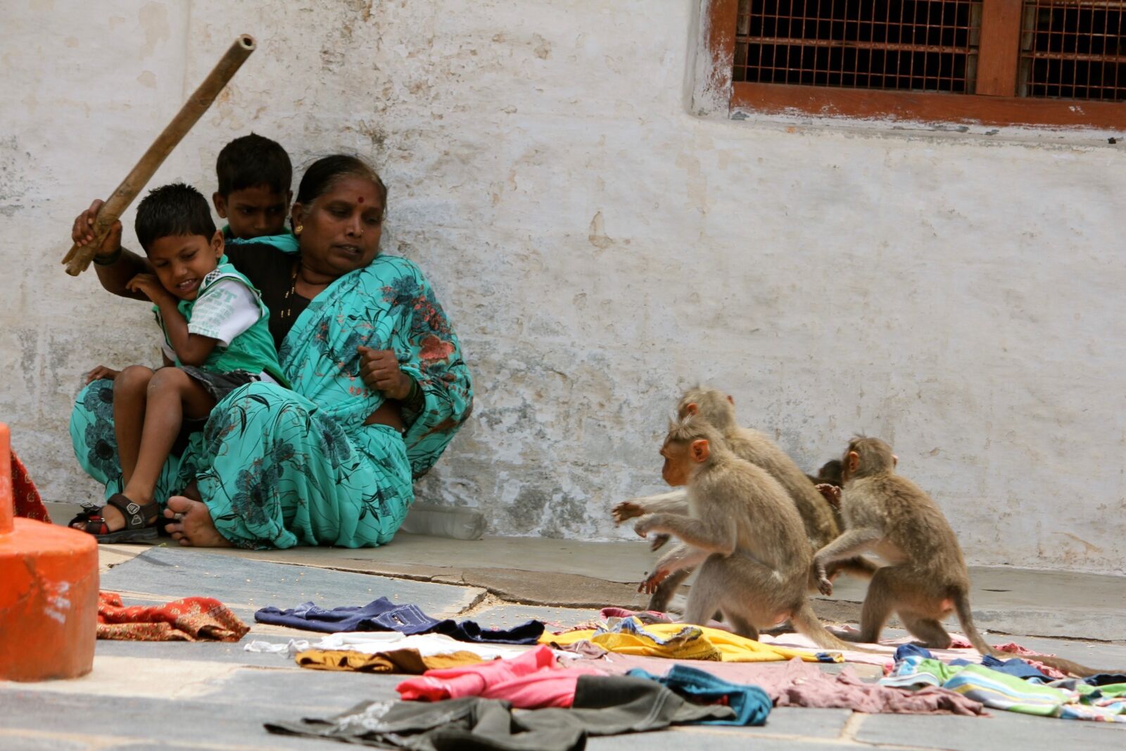 Canon EOS 550D (EOS Rebel T2i / EOS Kiss X4) sample photo. India, family, ape photography