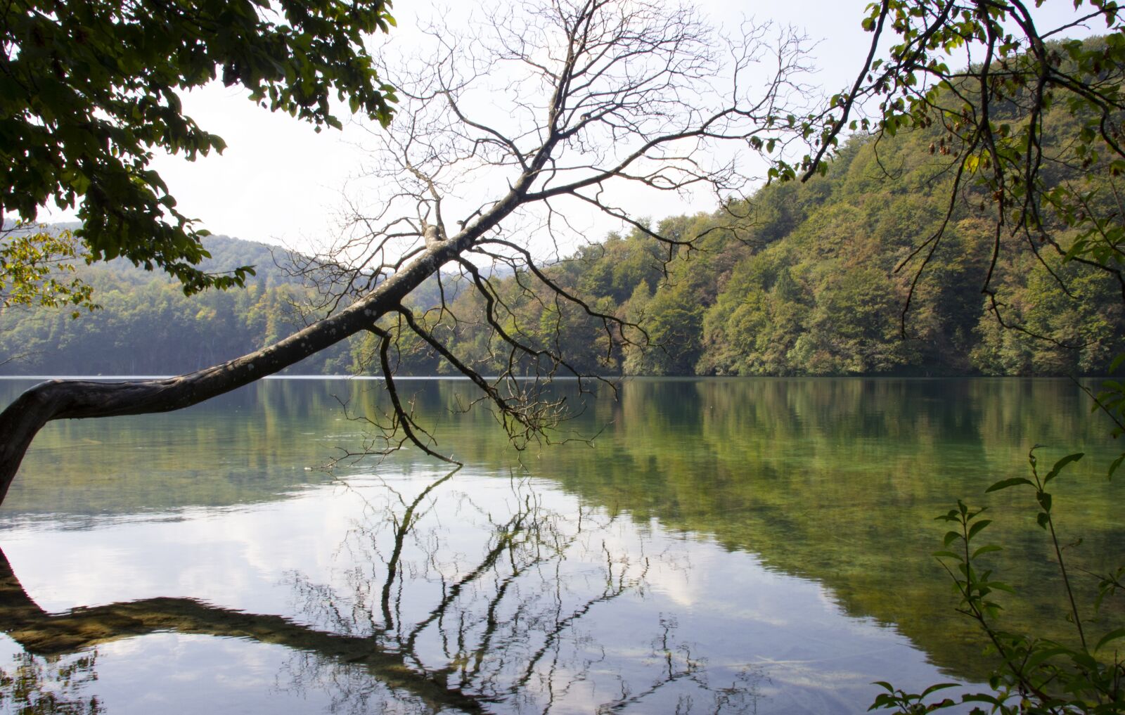 Canon EOS 600D (Rebel EOS T3i / EOS Kiss X5) sample photo. Lake, tree, water photography