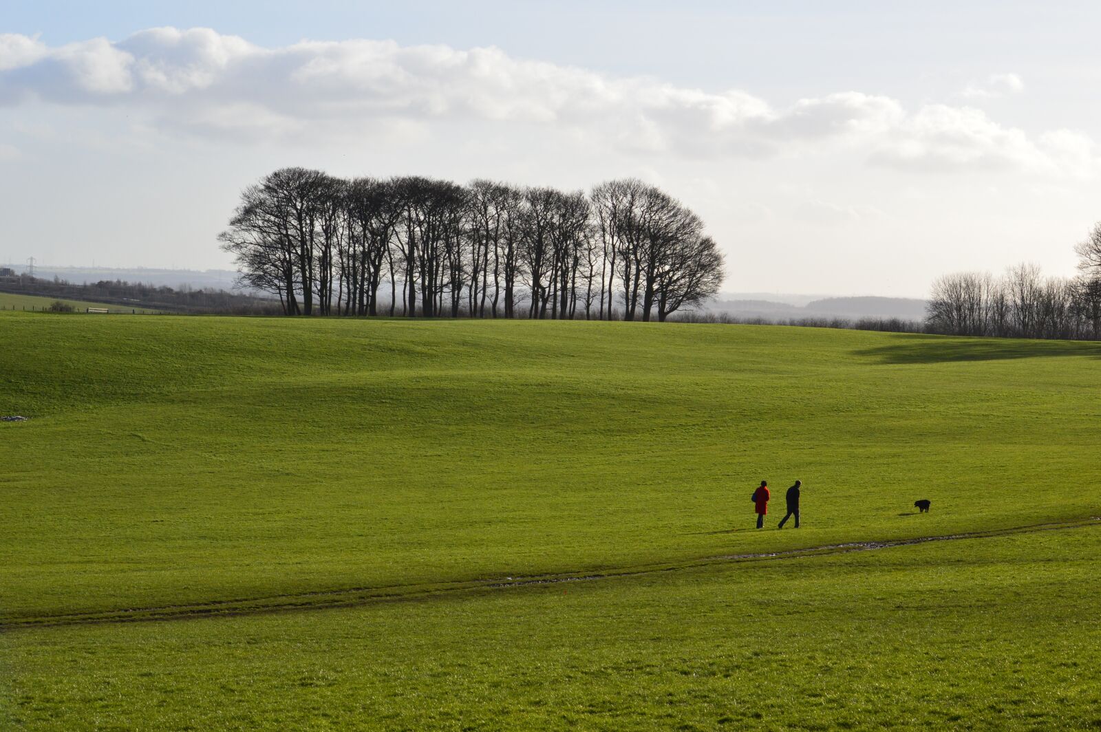 Nikon D3200 sample photo. Landscape, field, nature photography