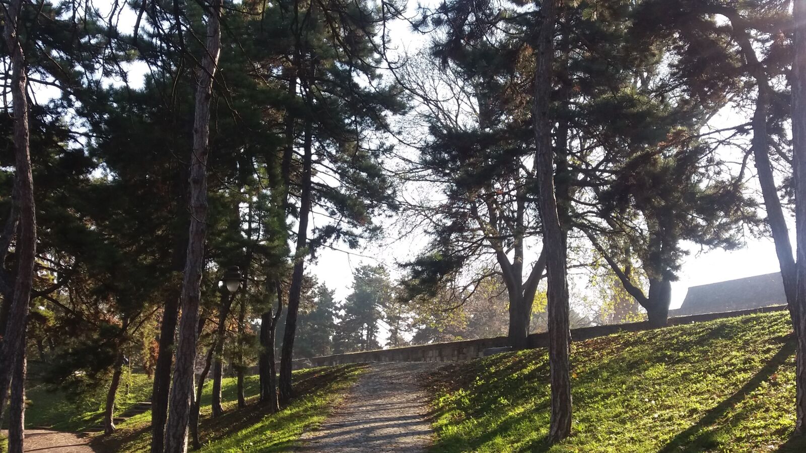 Samsung Galaxy J5 sample photo. City, park, forest, park photography