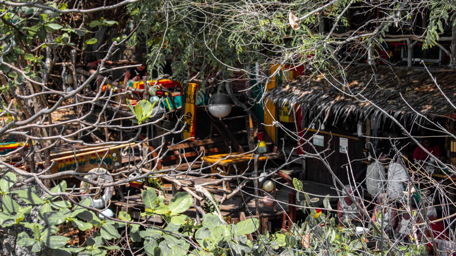 Nikon D5600 sample photo. Trees, nature, landscape photography