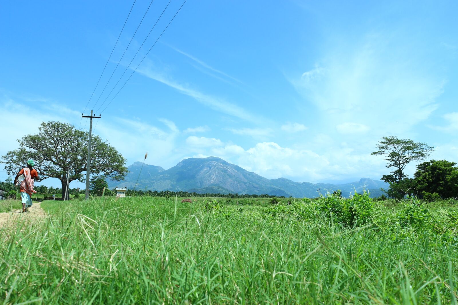 Canon EOS 700D (EOS Rebel T5i / EOS Kiss X7i) sample photo. Nature, beautifull, outdoors photography
