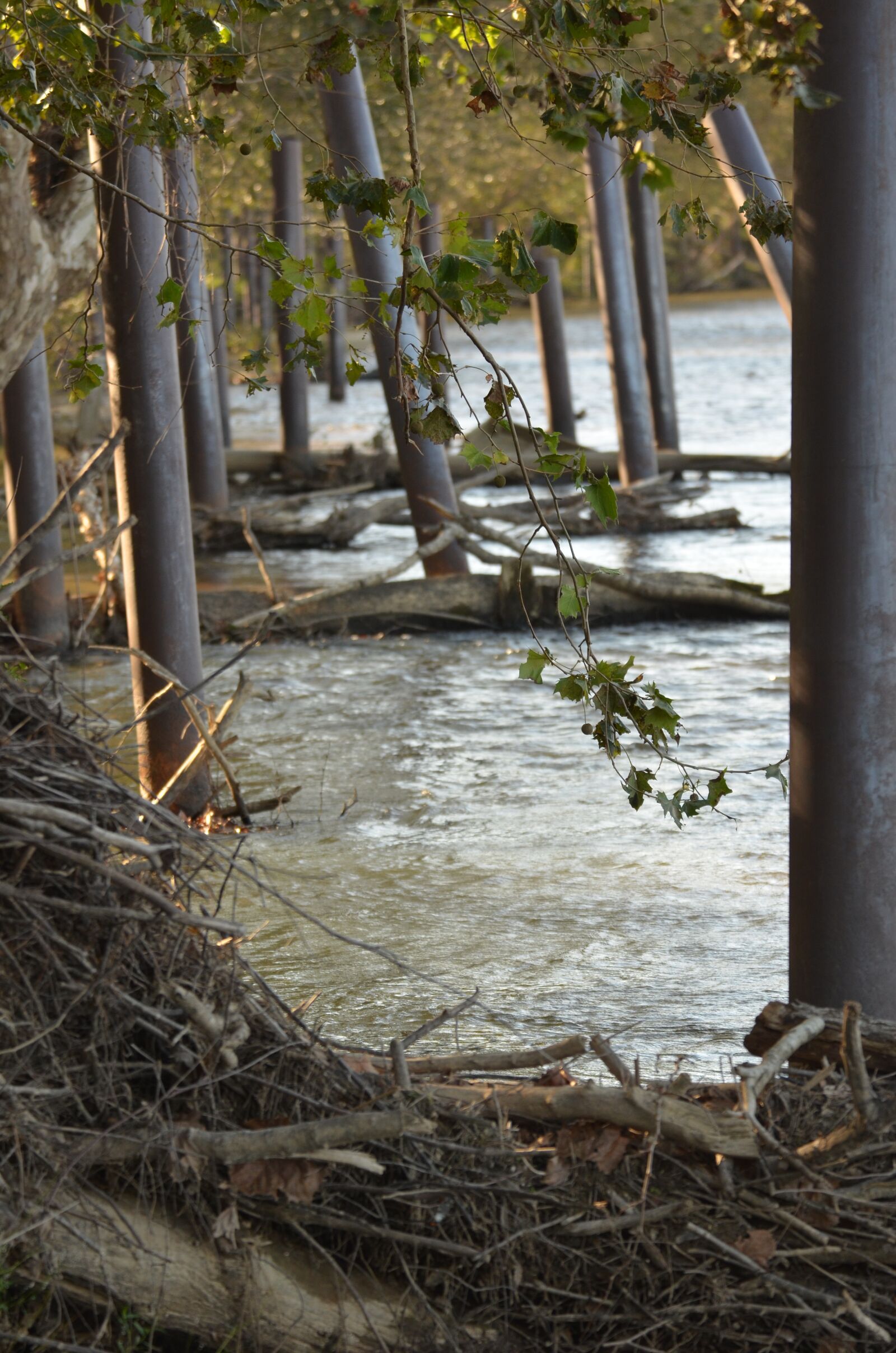 Nikon D7000 sample photo. River, banks, nature photography