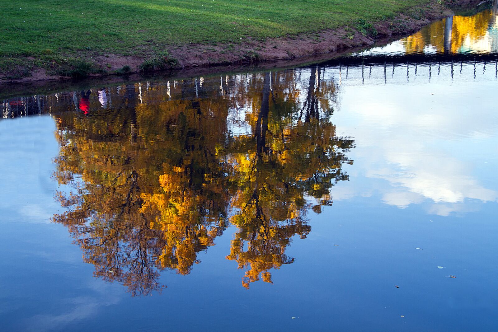 Canon EOS 7D sample photo. Autumn, leaves, fall leaves photography
