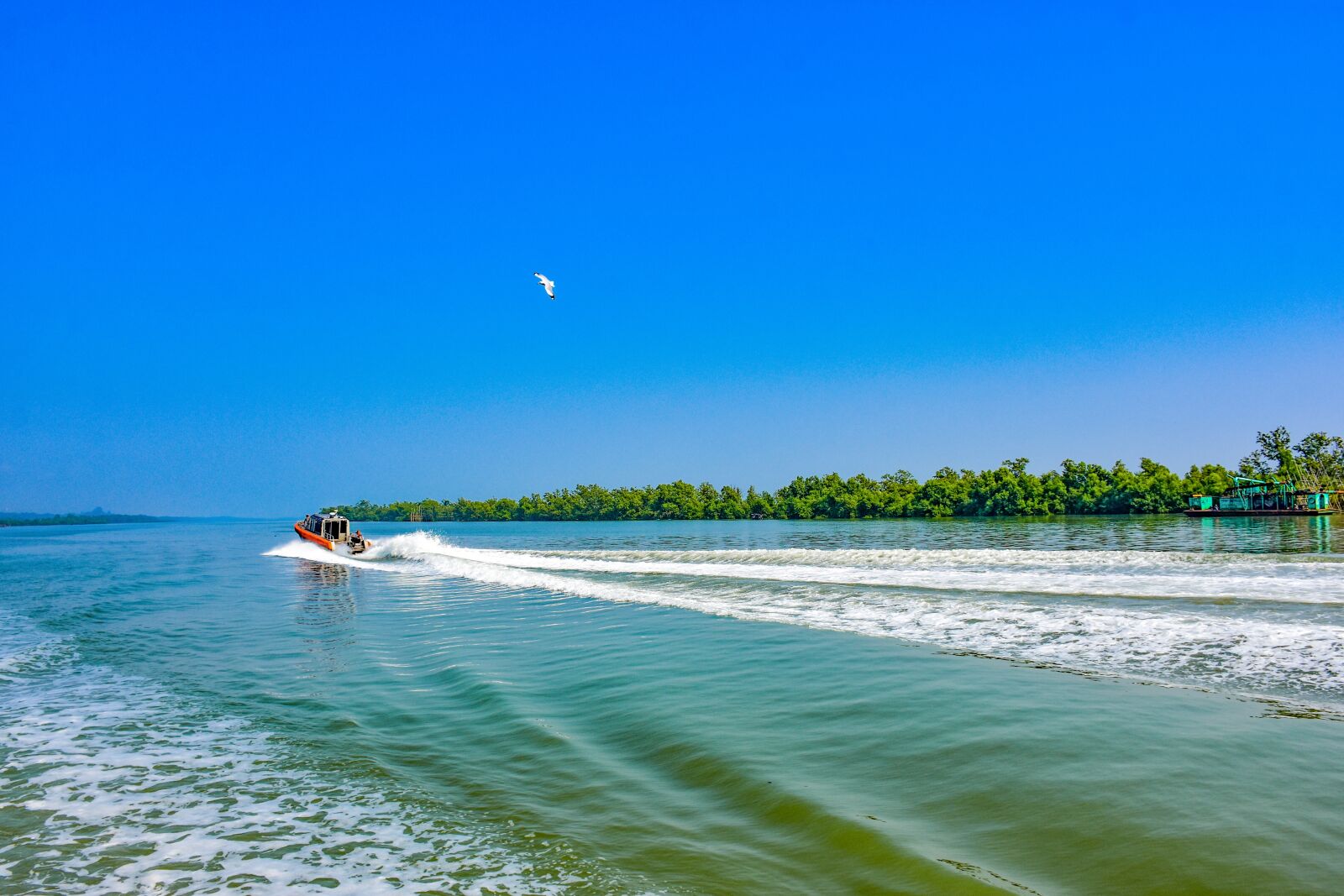 Nikon D7200 sample photo. Landscape, boat, speed boat photography