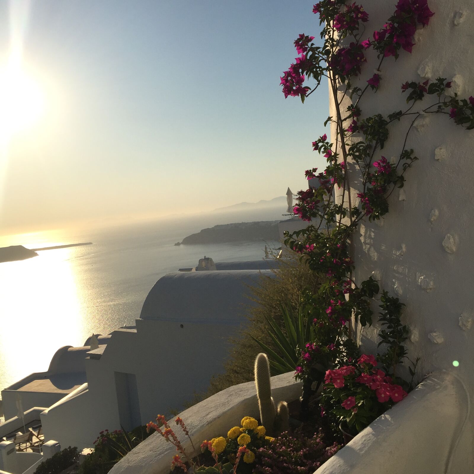 Apple iPhone 6 sample photo