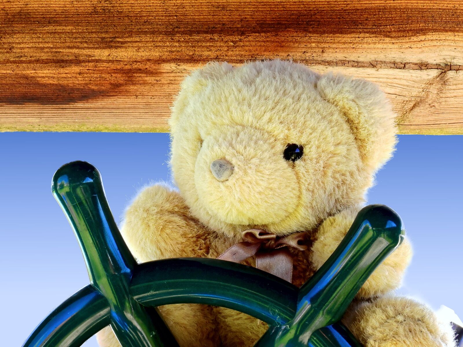 Nikon Coolpix P900 sample photo. Teddy bear, teddy, soft photography