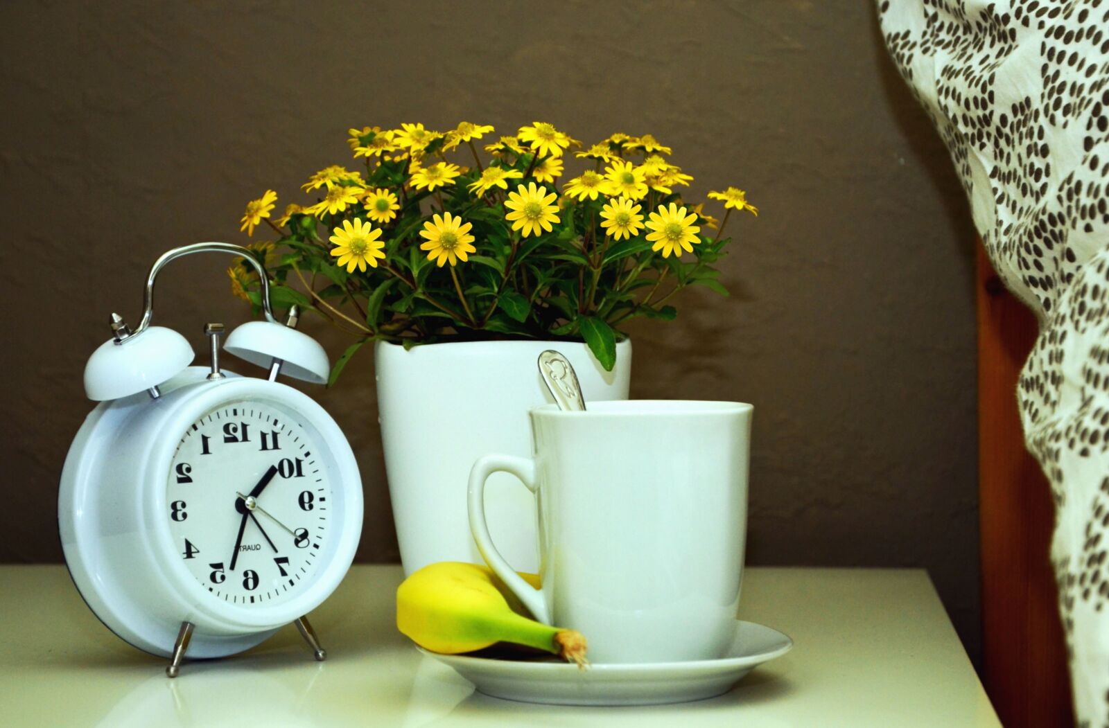 Nikon D5100 sample photo. Pot, flower, clock, still photography