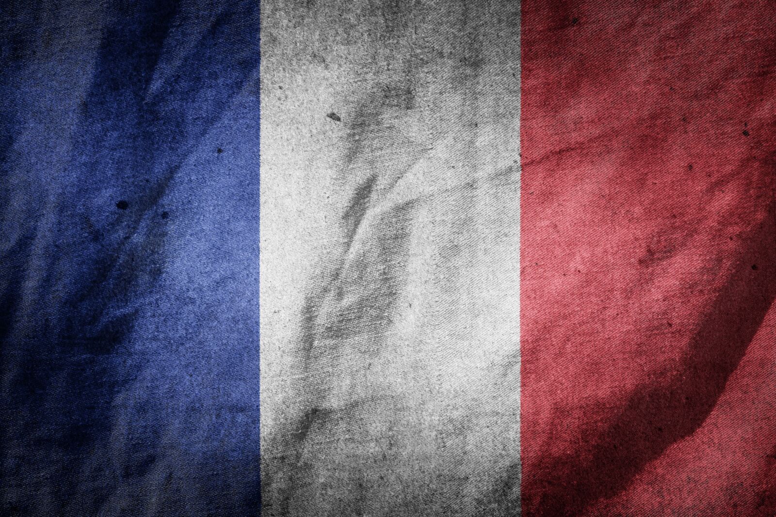 Nikon D3100 sample photo. Flag, france, europe photography