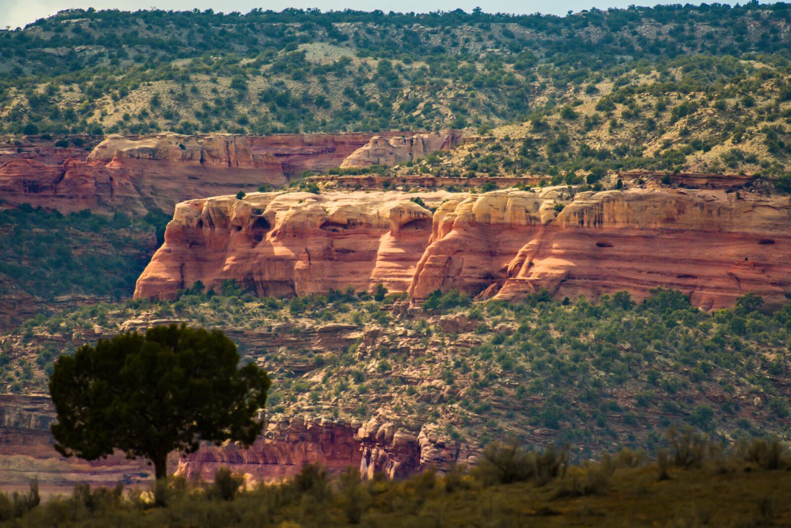 Nikon D750 sample photo. Arid, canyon, dawn photography