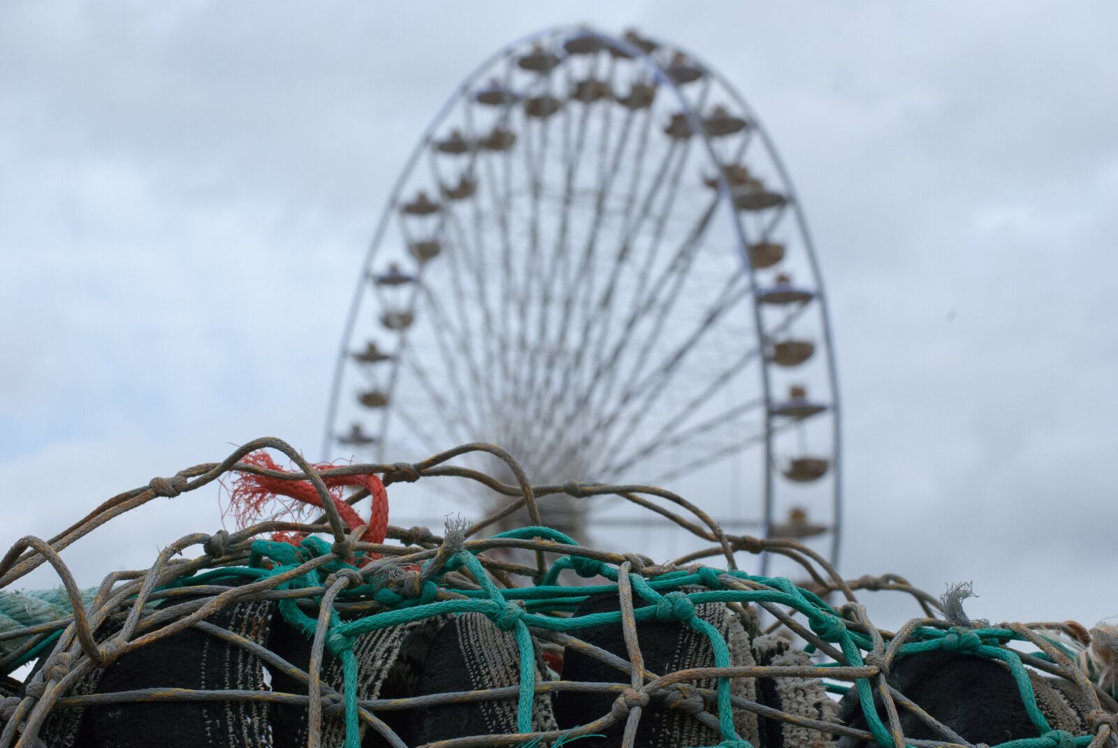 Nikon D80 sample photo. Great, wheel, net photography