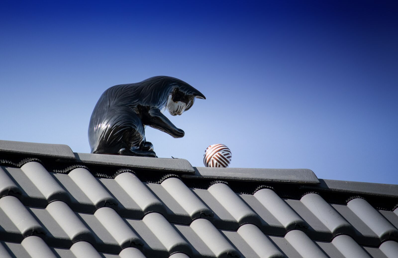 Canon EF-S 55-250mm F4-5.6 IS STM sample photo. Cat, figure, roof photography