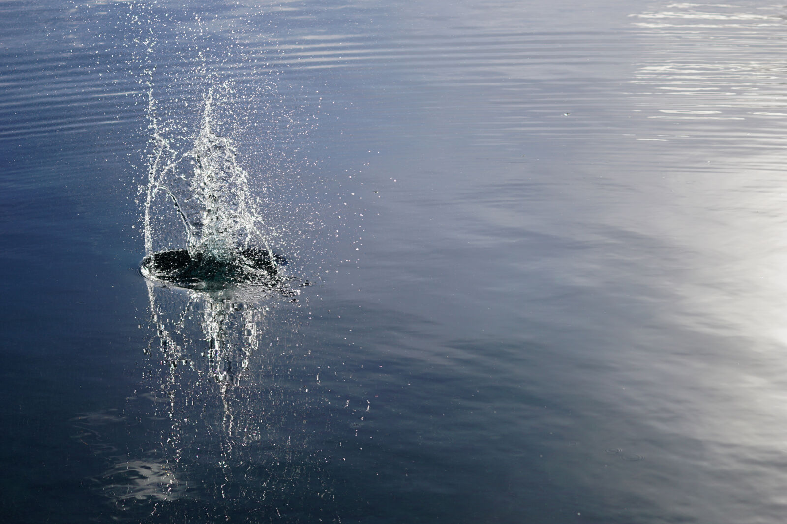 Sony a6000 + Sony FE 70-200mm F4 G OSS sample photo. Background, droplets, freeze, lake photography