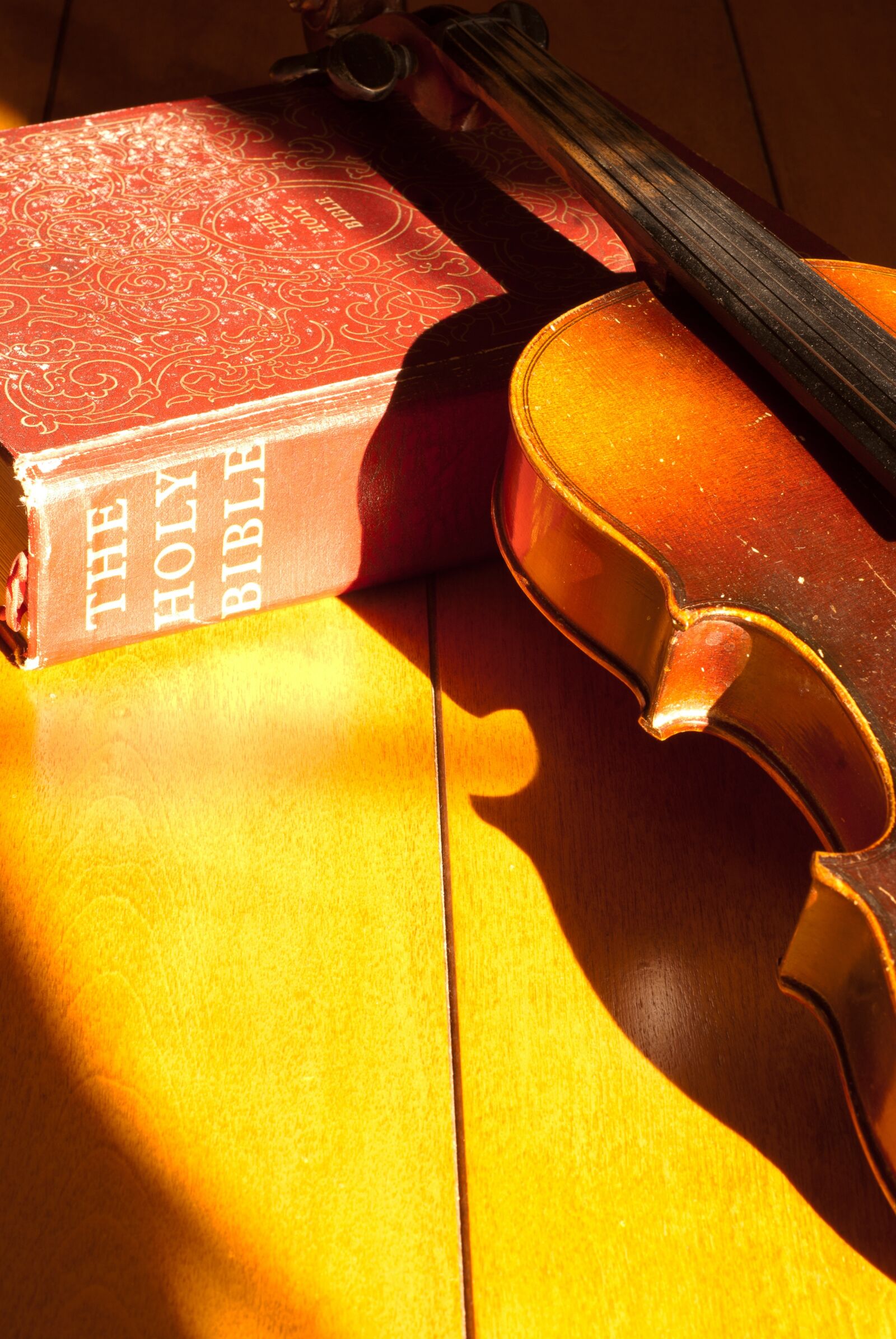 Nikon D80 sample photo. Bible, fiddle, music photography