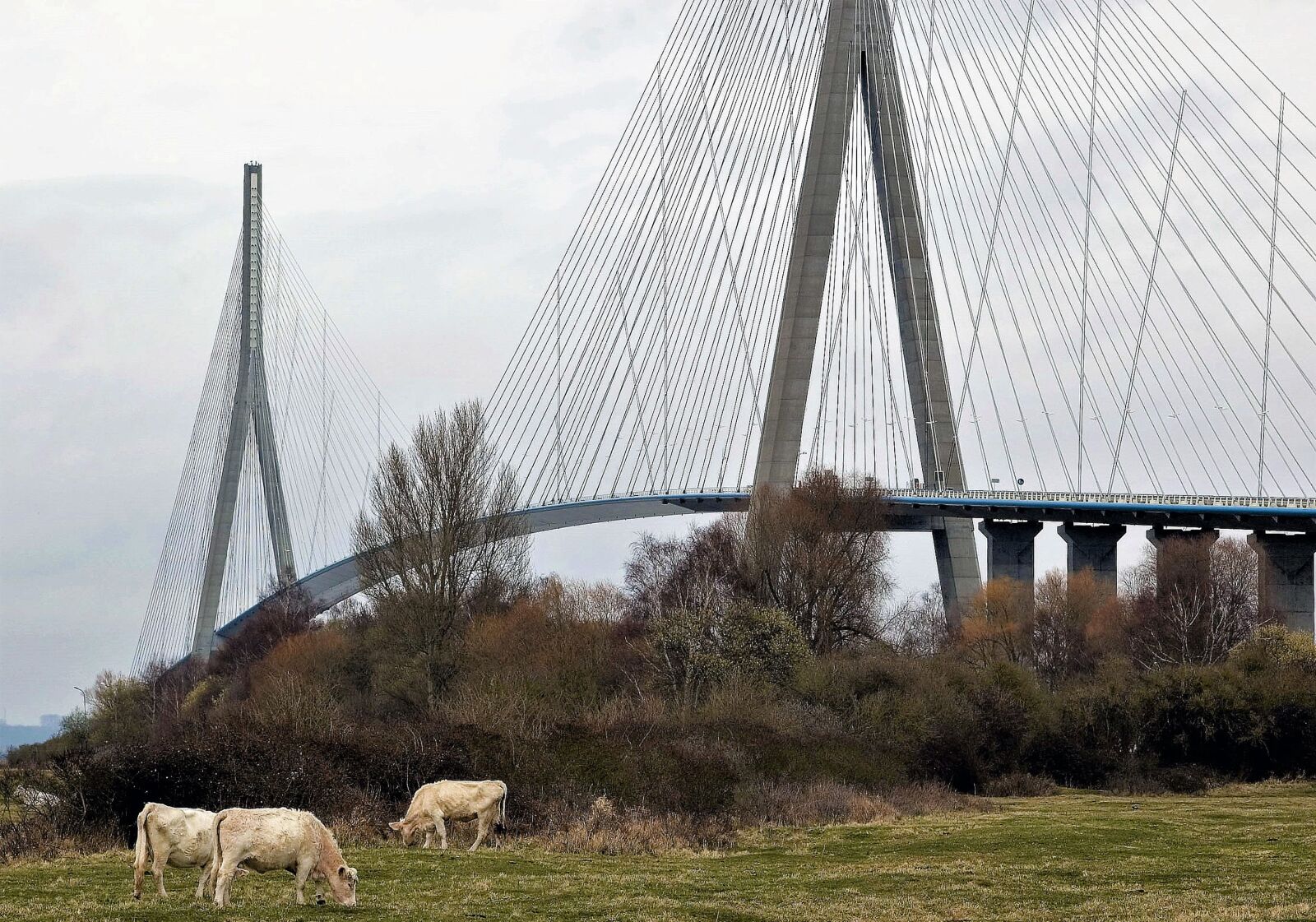 Nikon D70s sample photo. Normandy bridge, normandy, france photography