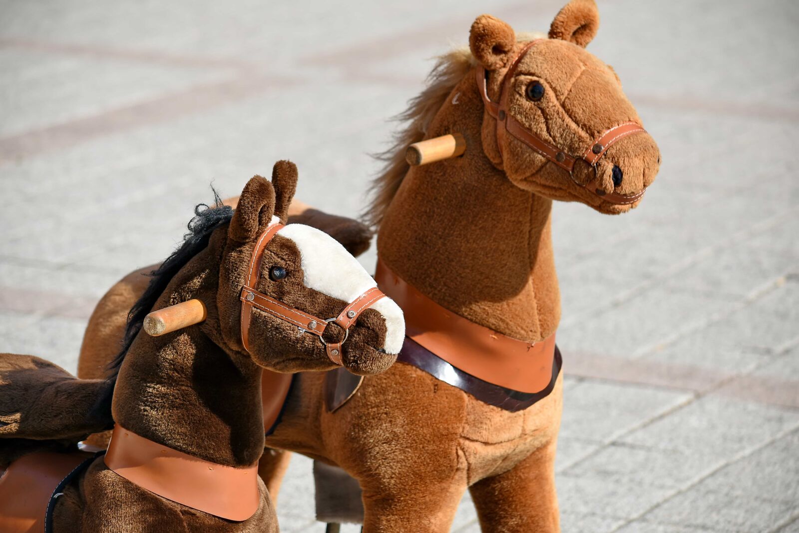 Nikon D5500 sample photo. Horses, plush, toys, animal photography
