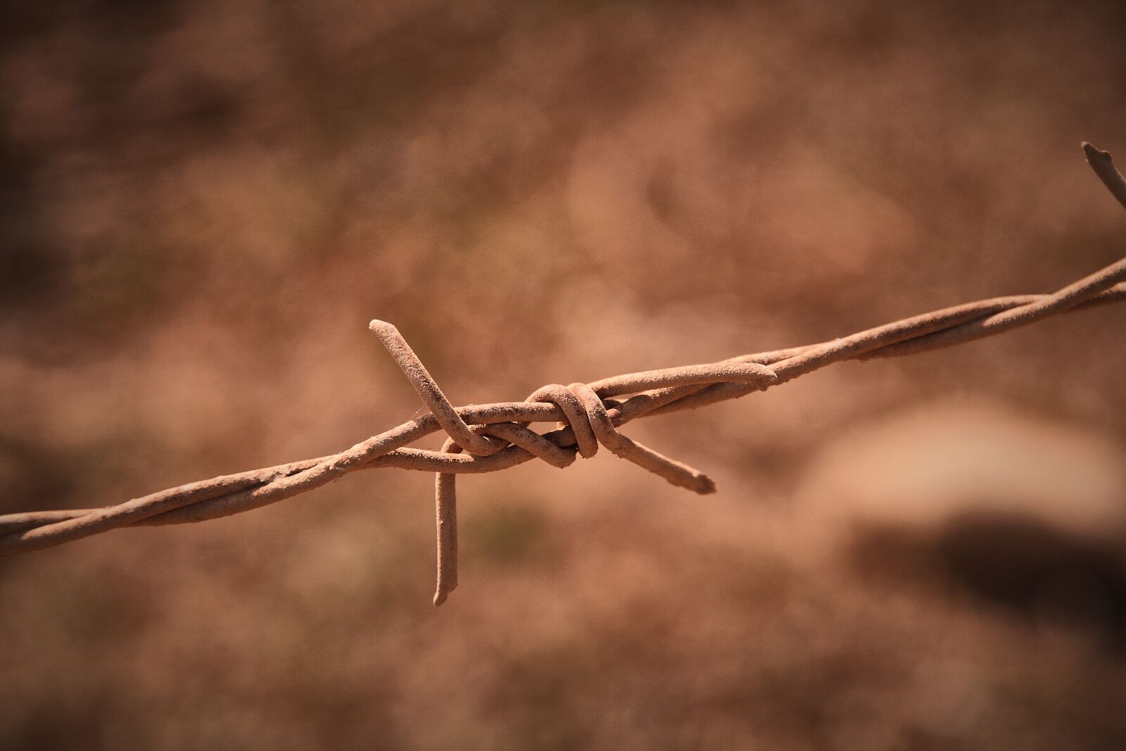 Canon EOS 400D (EOS Digital Rebel XTi / EOS Kiss Digital X) sample photo. Barbed wire, dusty, dirty photography