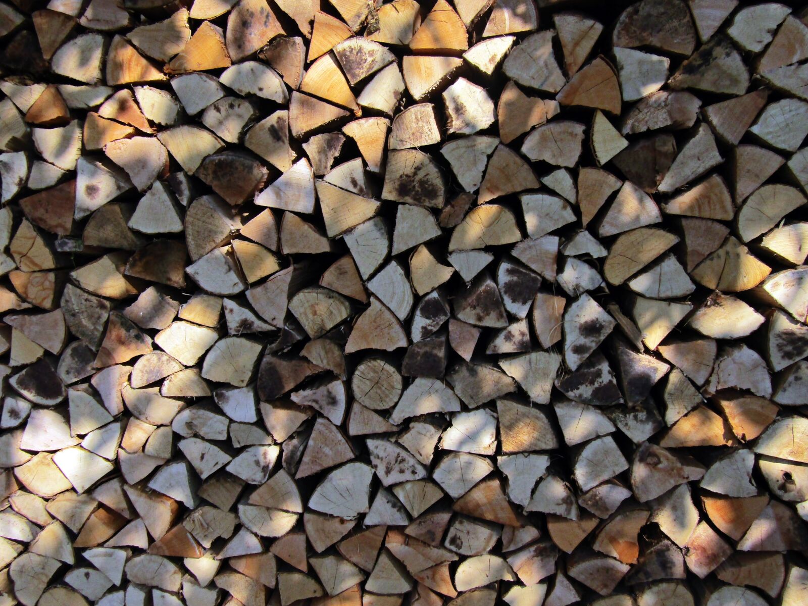 Canon PowerShot SX410 IS sample photo. Wood, texture, colors photography