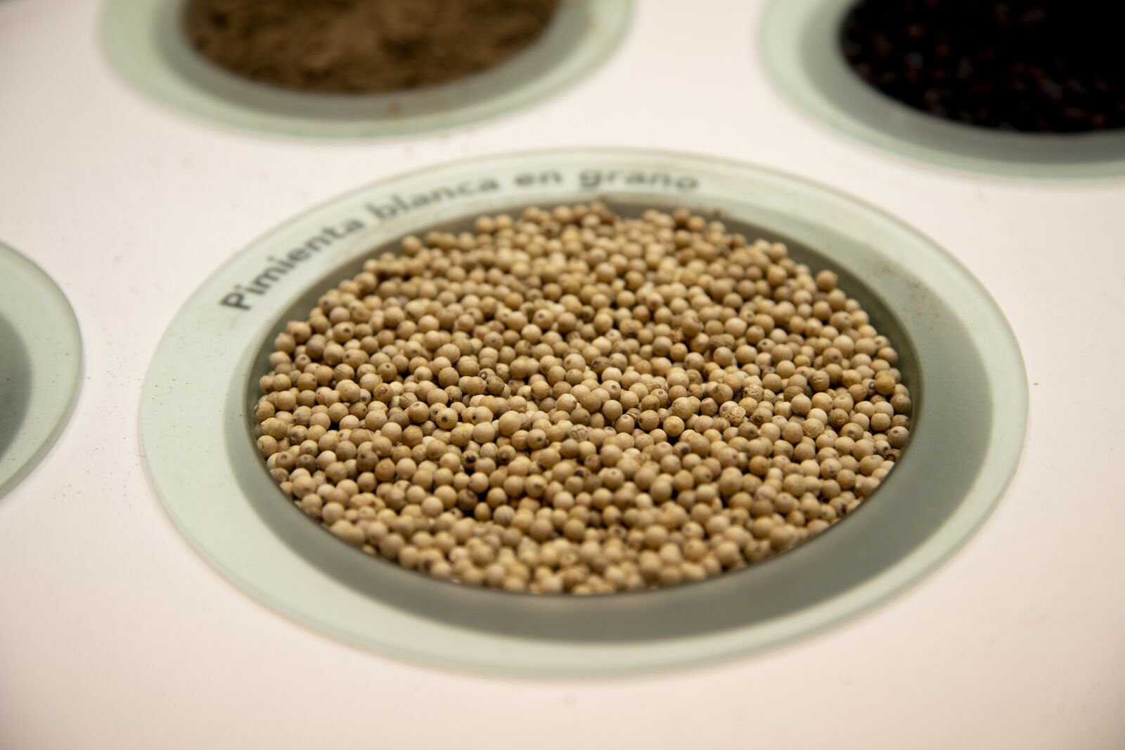 Canon EOS 6D Mark II sample photo. Spices, pepper, cinnamon photography