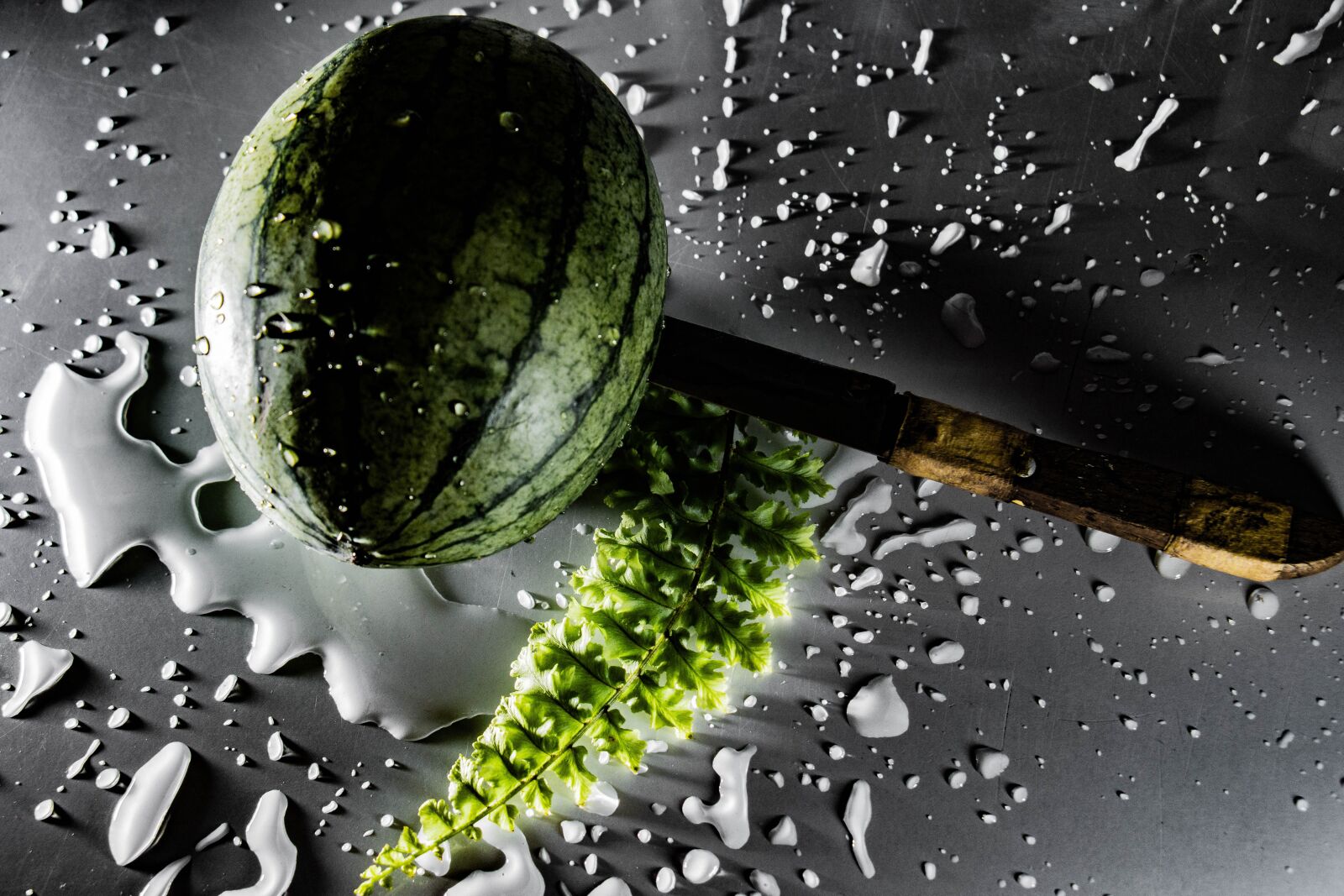 Canon EOS 70D sample photo. Watermelon, juicy, food photography