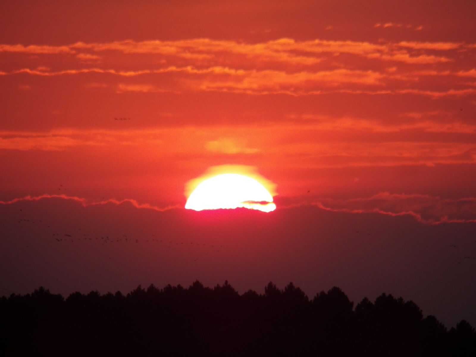 Kodak EasyShare Z990 (EasyShare Max) sample photo. Sunset, sun, landscape photography