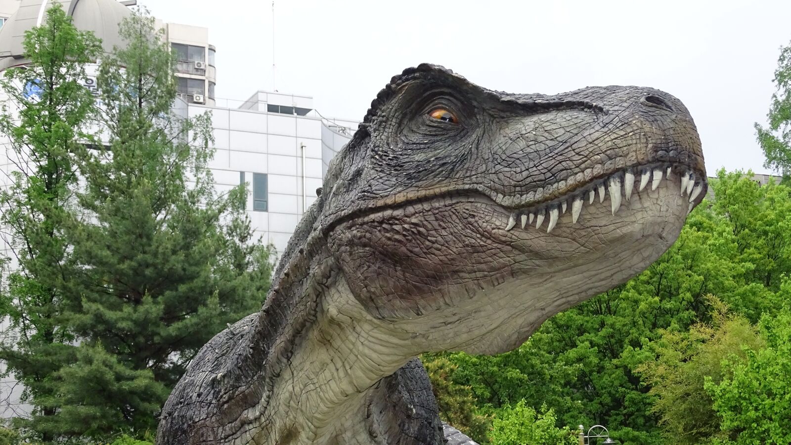 Sony Cyber-shot DSC-HX400V sample photo. Nature, animal, despicable photography