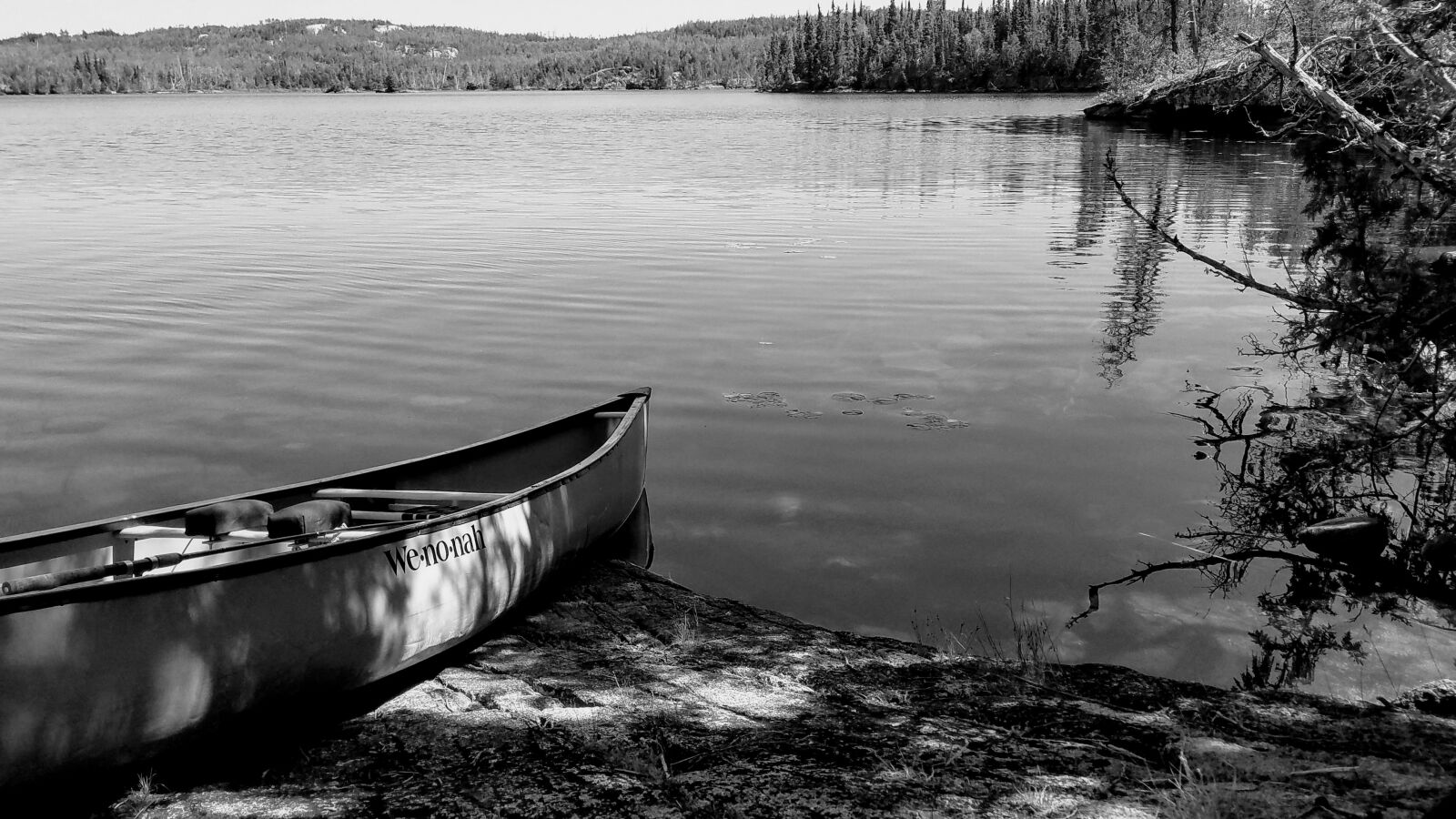 Samsung Galaxy S7 Edge sample photo. Canoe, lake, trees photography