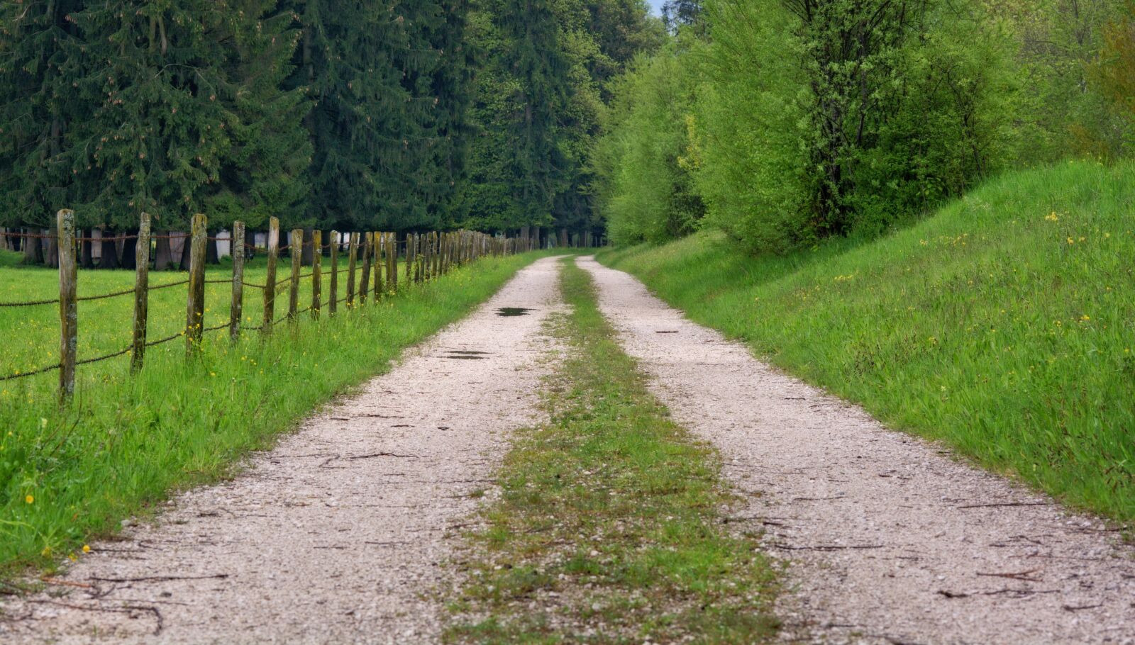 55.0-200.0mm f/4.0-f/5.6 sample photo. Pasture fence, lane, road photography