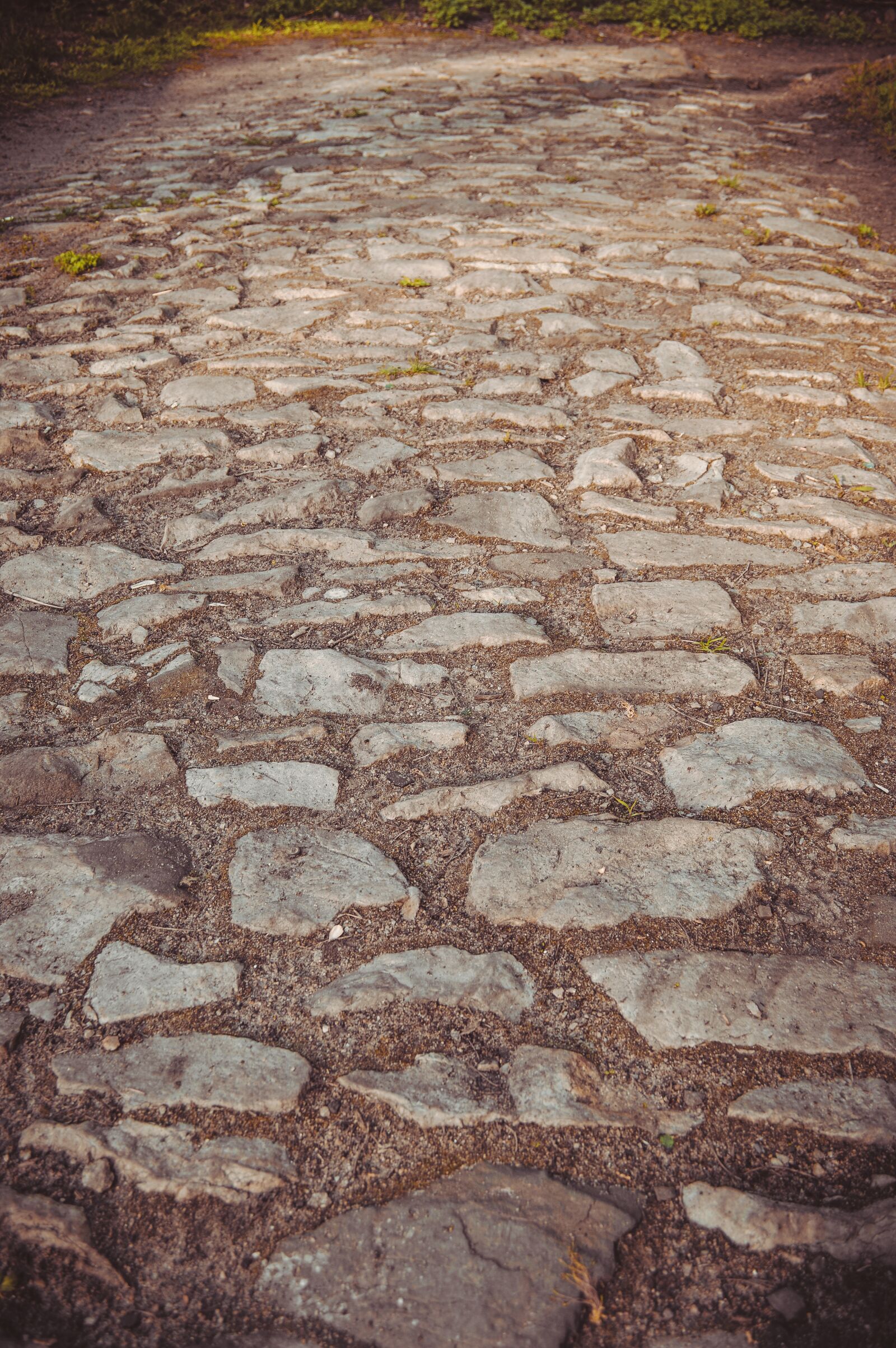 Nikon D3200 sample photo. Paving stone, paving, paved photography