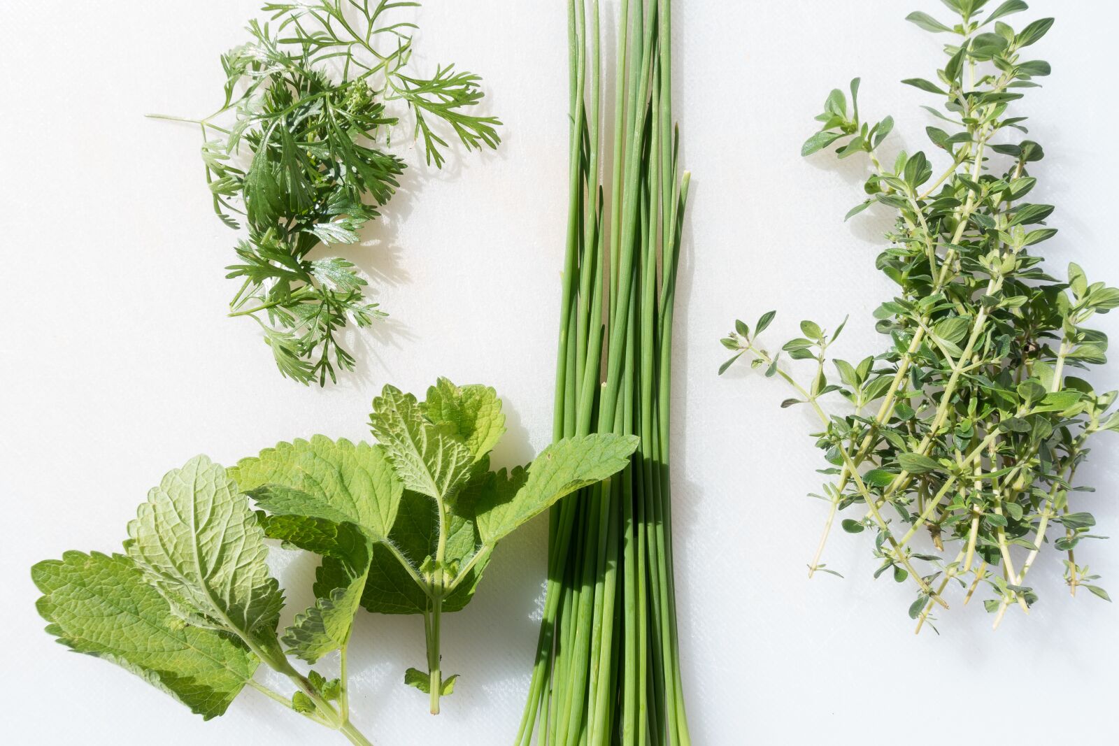 Sony Cyber-shot DSC-RX100 III sample photo. Spices, chervil, lemon balm photography