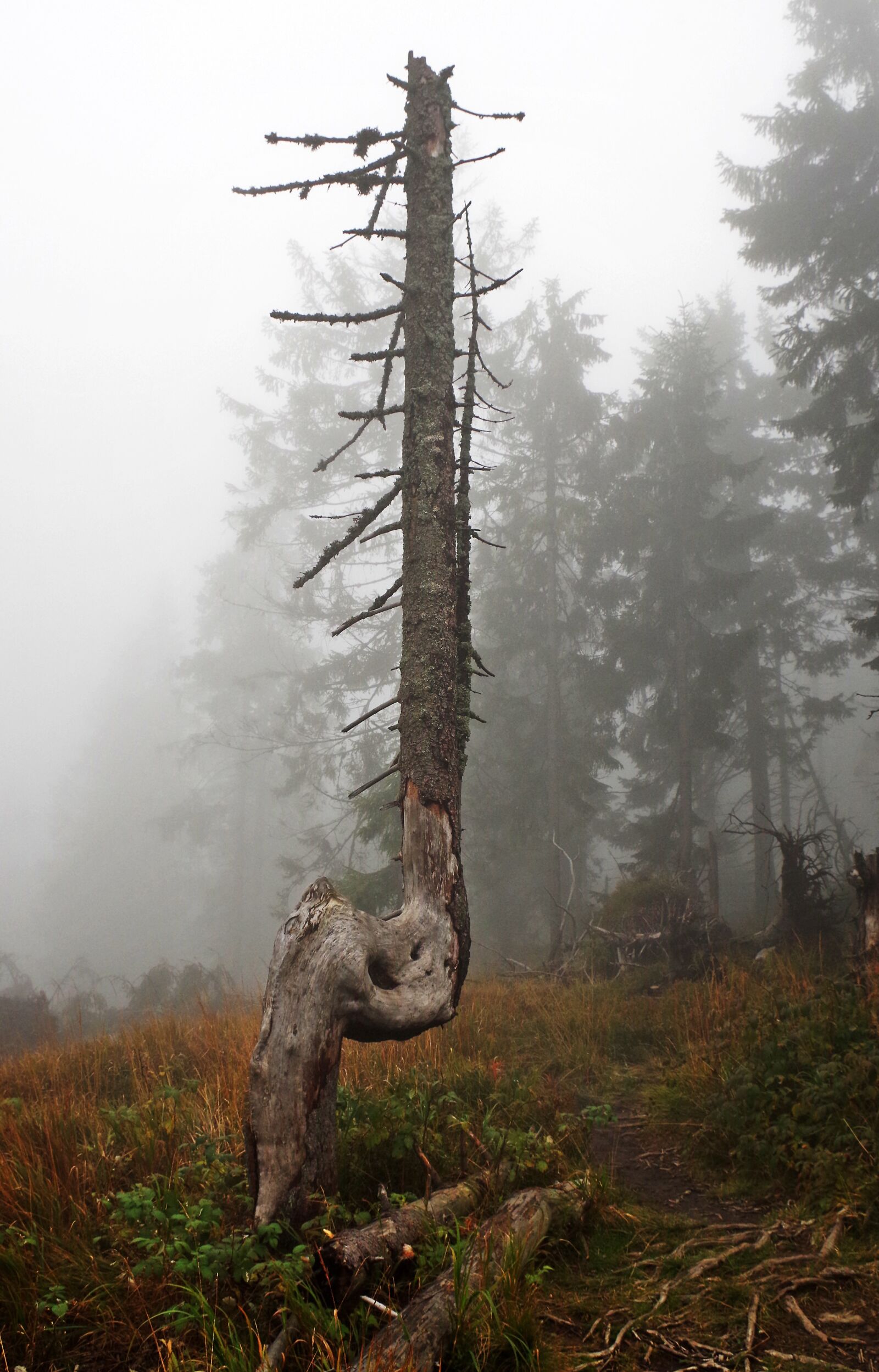 Pentax K-30 sample photo. Mountains, hot, turbacz photography