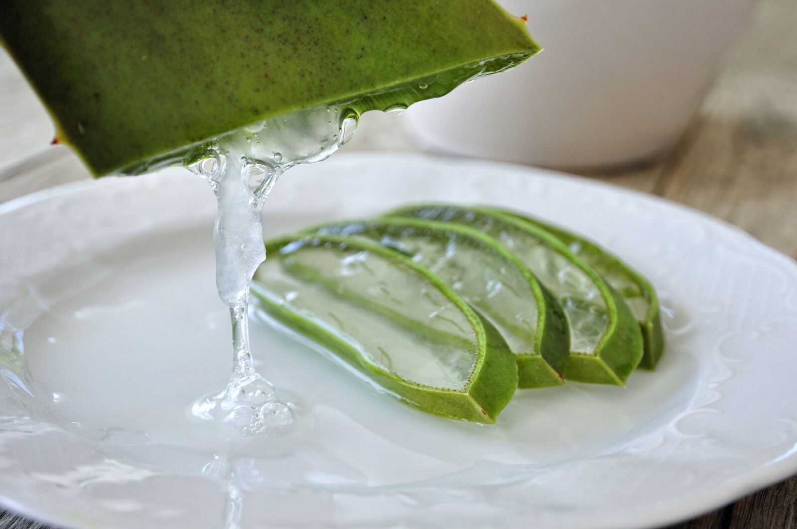 Nikon D90 sample photo. Aloe, aloe vera, leaf photography