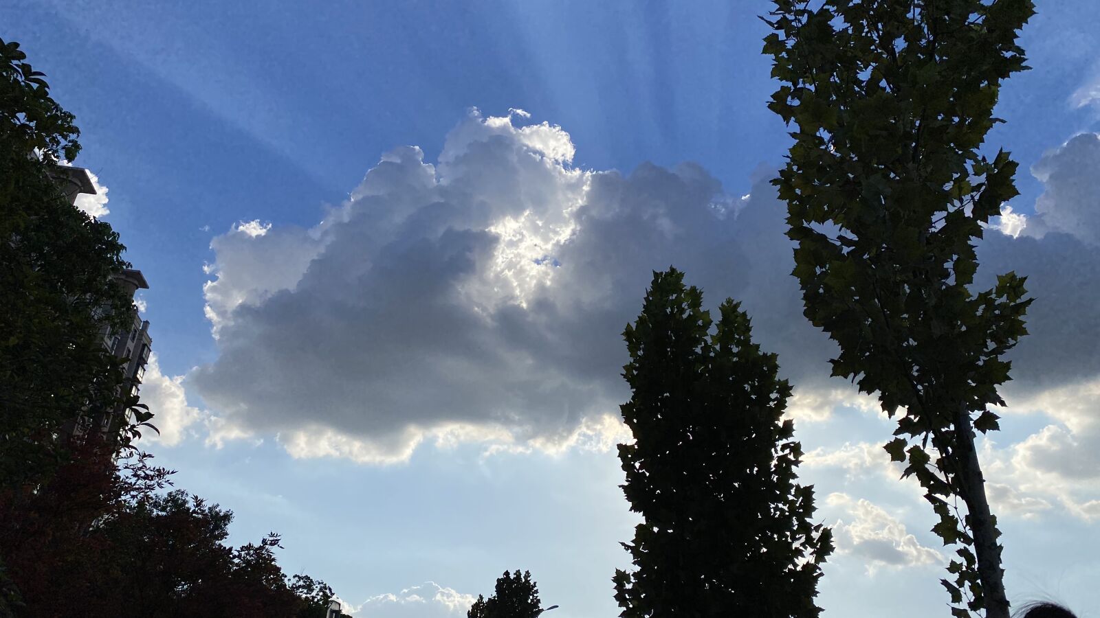 Apple iPhone 11 sample photo. White cloud, dark clouds photography