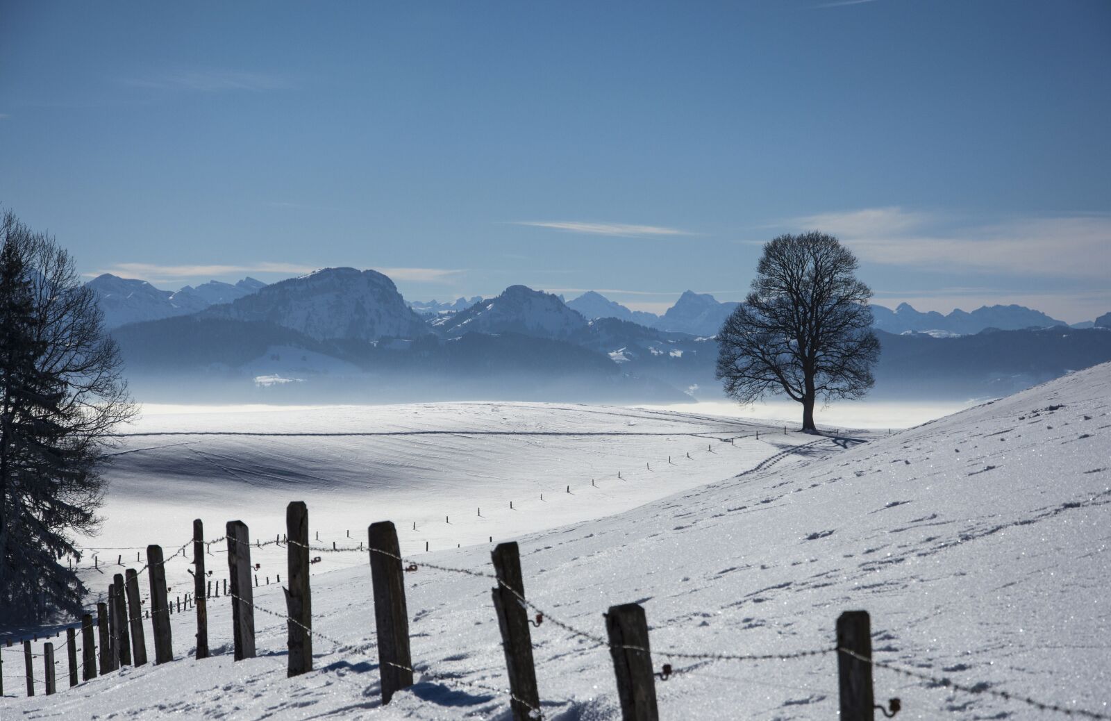 Nikon D7200 sample photo. Snow landscape, tree, sea photography
