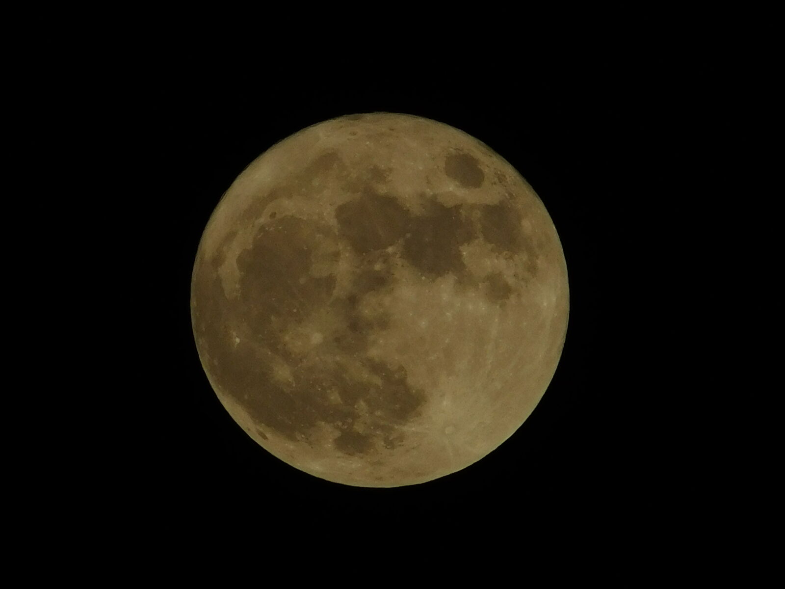 Nikon Coolpix L840 sample photo