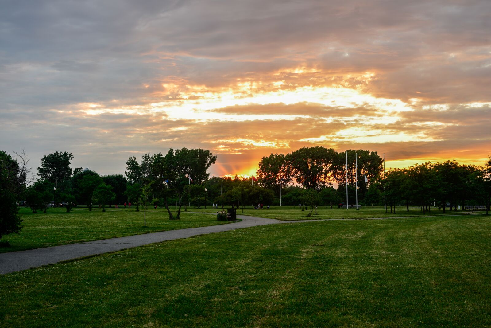 Nikon D800E sample photo. Sky, centralpark, meadow photography