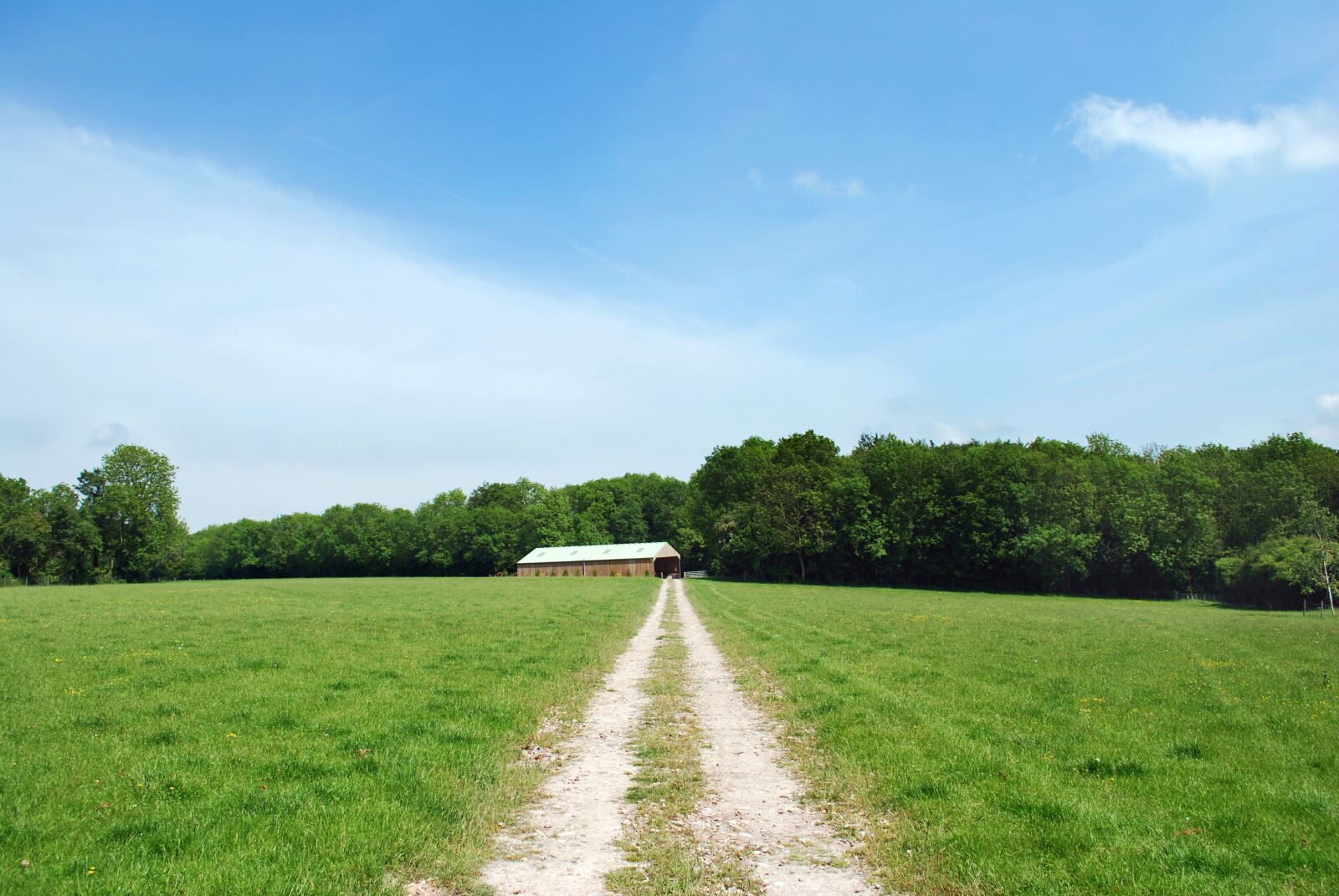Nikon D60 sample photo. Farm, uk, sky photography