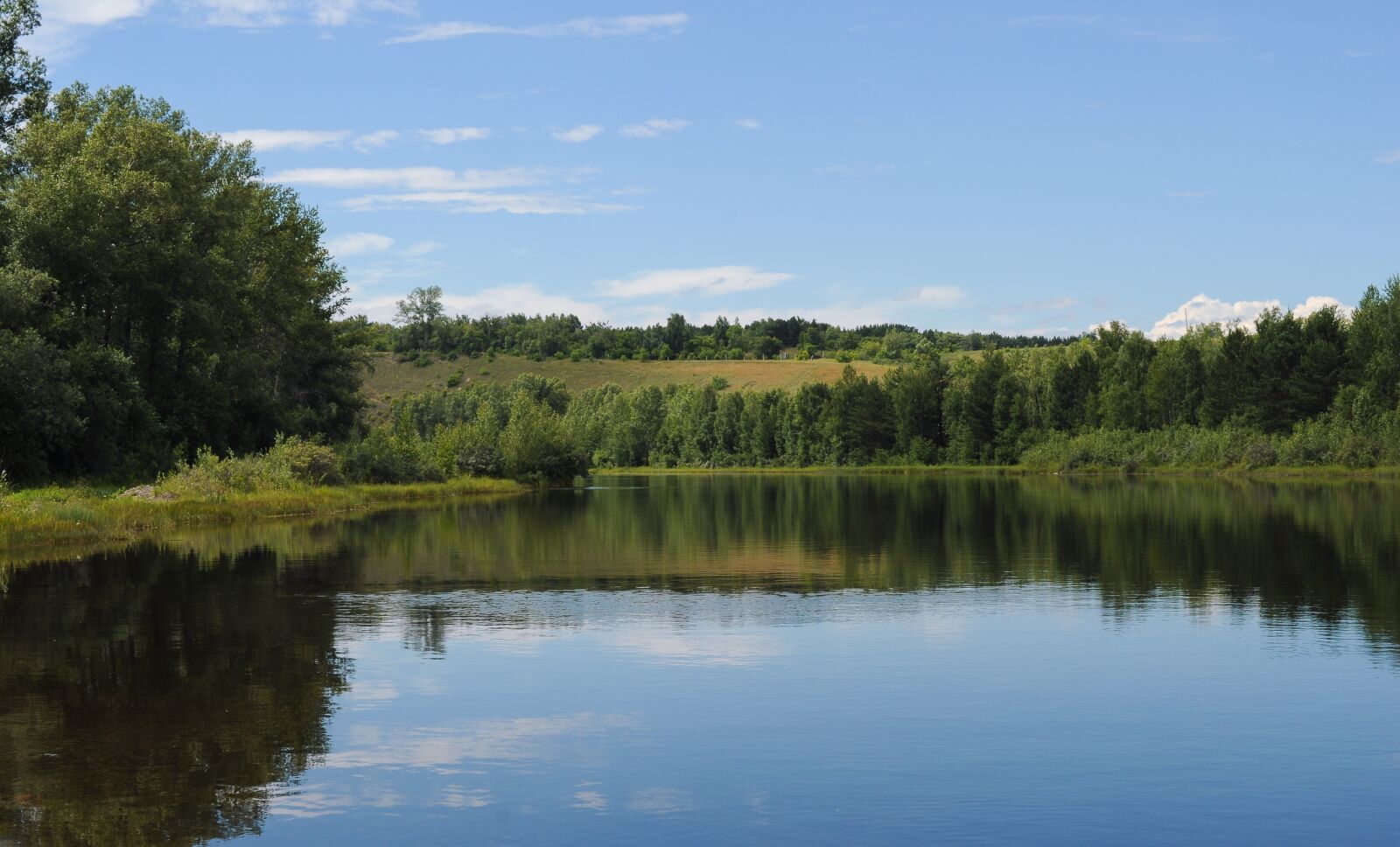 Nikon D5000 sample photo. Summer, background, trees photography