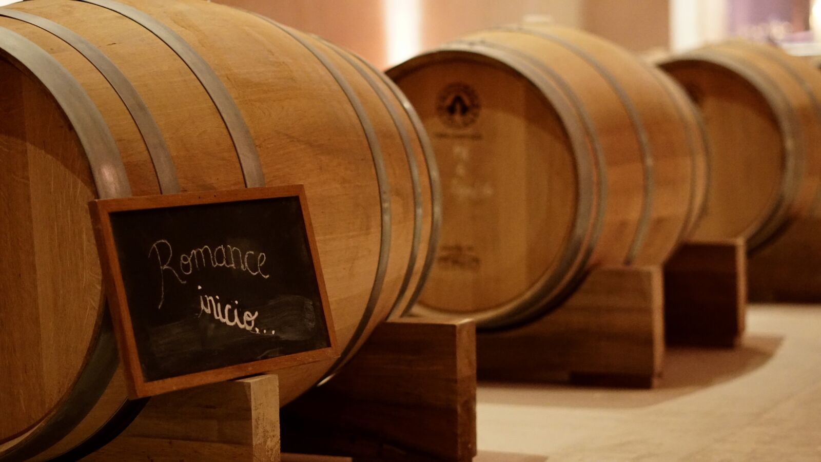 Sony FE 50mm F1.8 sample photo. Barrels, wine, wine, barrels photography