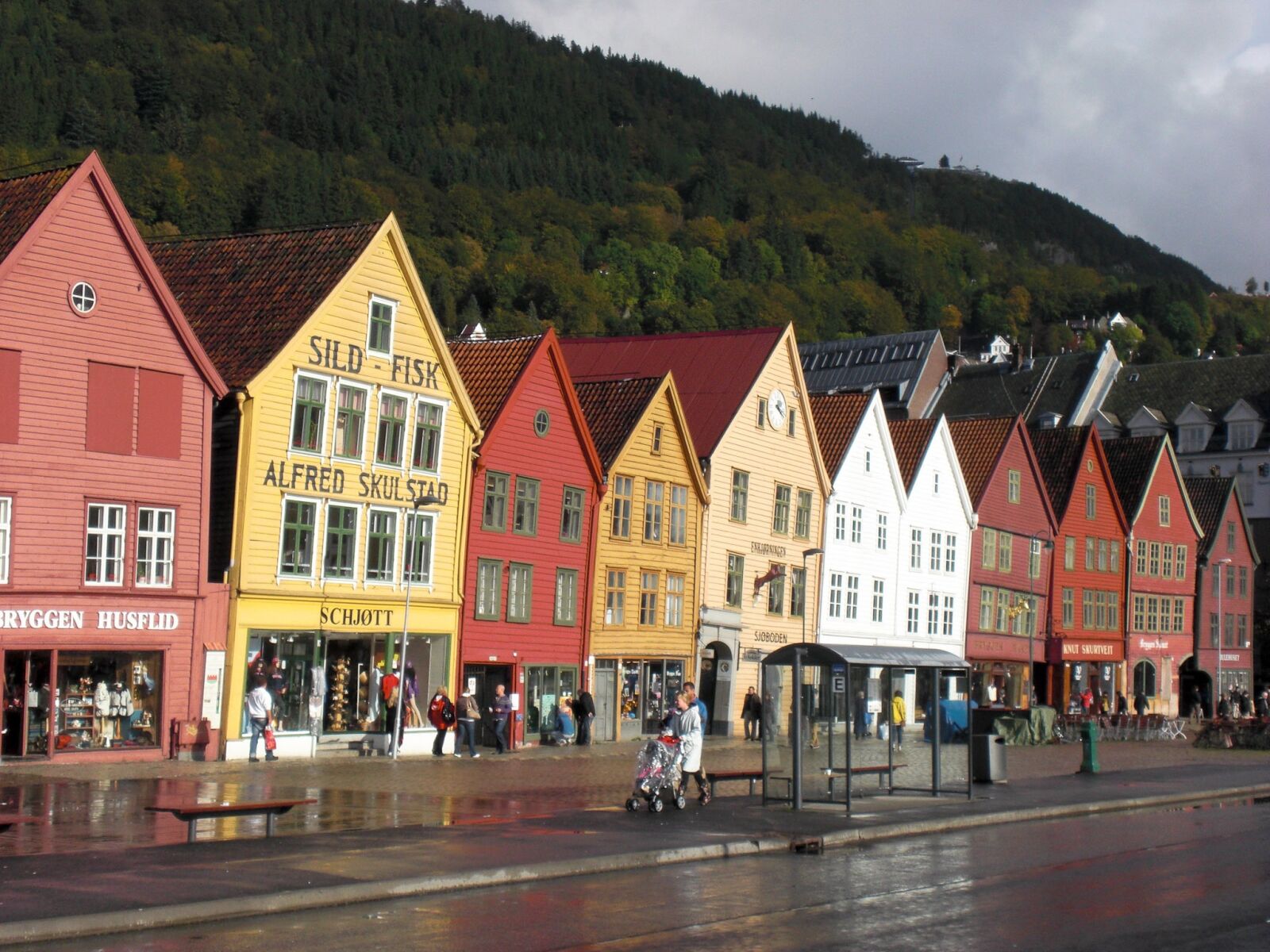 CASIO EX-Z80 sample photo. Norway, mountains, city photography