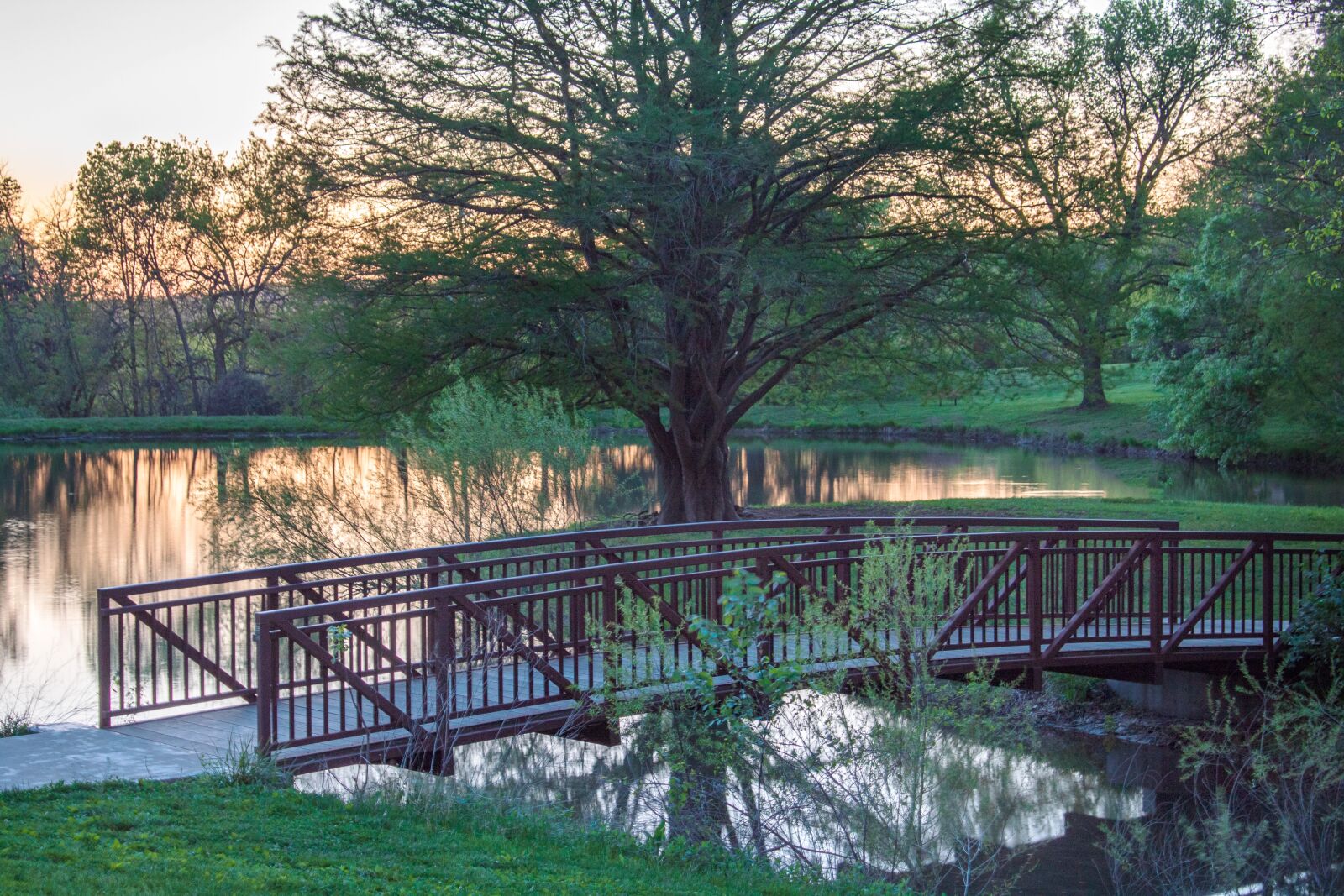 Canon EOS 1300D (EOS Rebel T6 / EOS Kiss X80) sample photo. Bridge, lake, trees photography