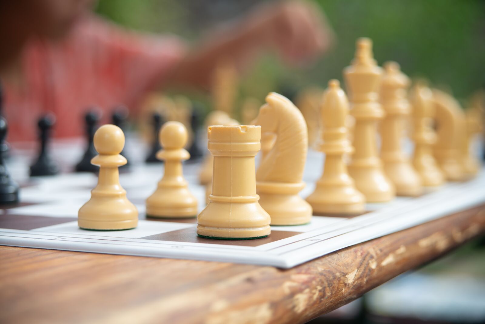 Nikon D800 sample photo. Chess board, chess, strategy photography