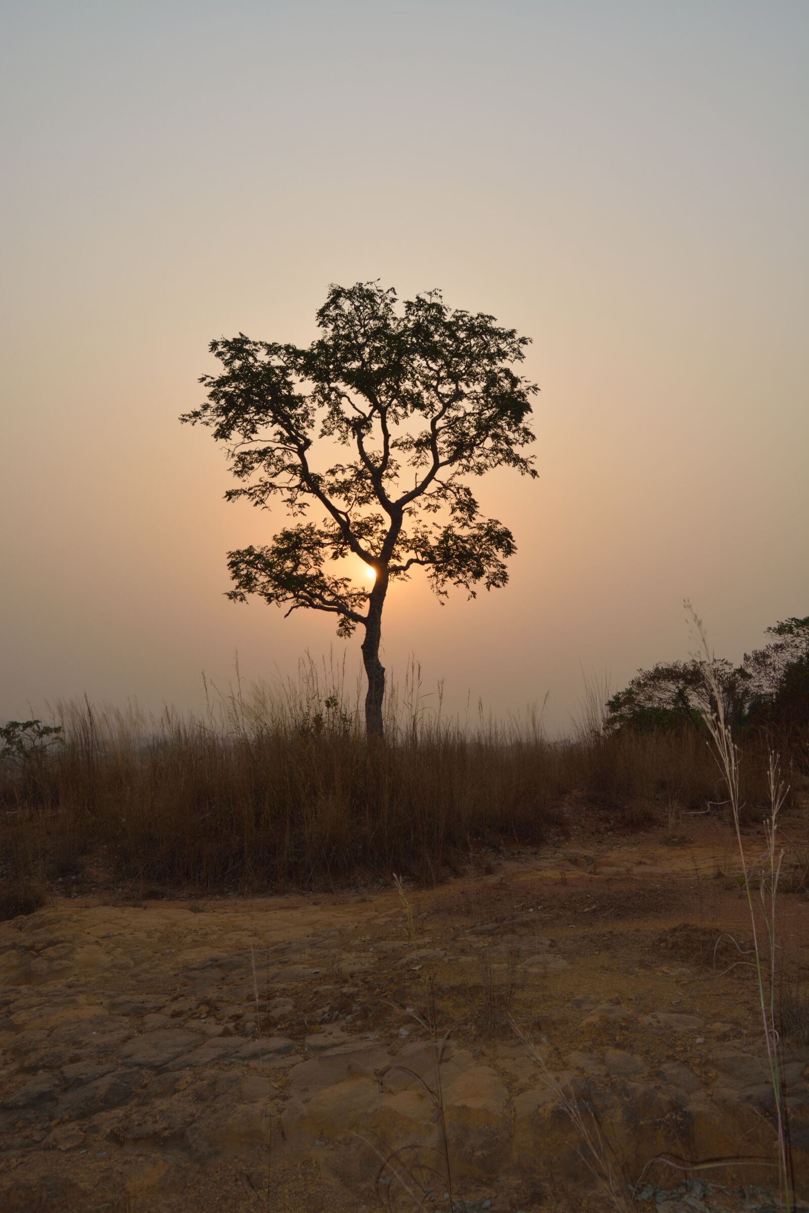 Nikon D5200 sample photo. Sunset, tropical, dusk photography