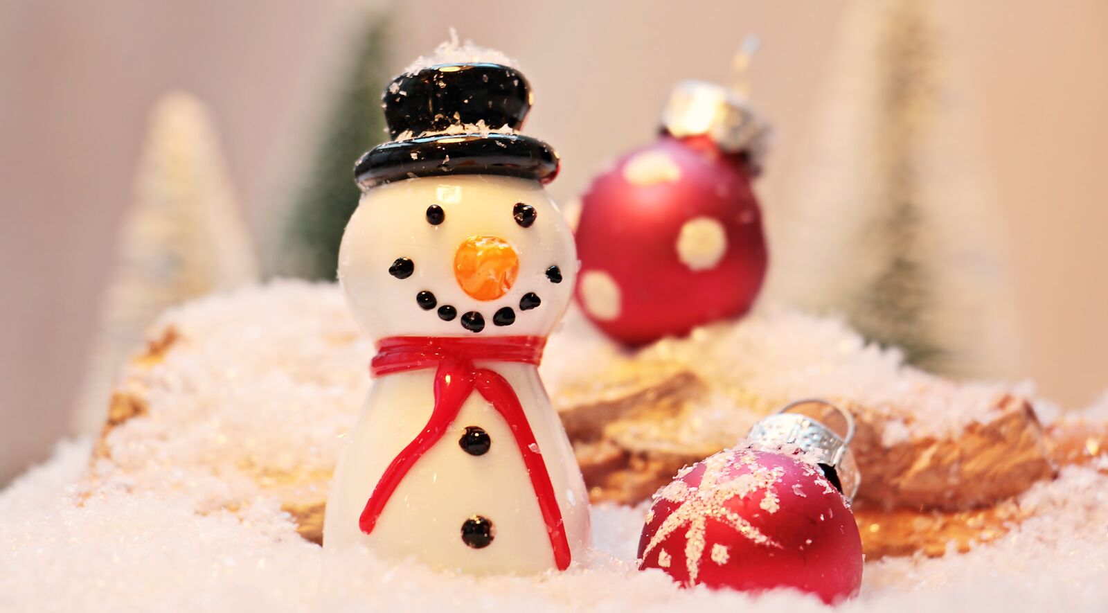 Canon EOS 550D (EOS Rebel T2i / EOS Kiss X4) sample photo. Snowman, snow, winter photography