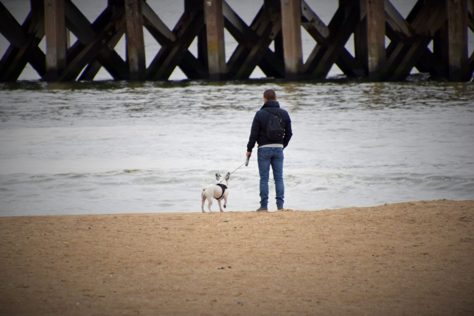 Nikon D5600 sample photo. Thoughts, ride, dog photography