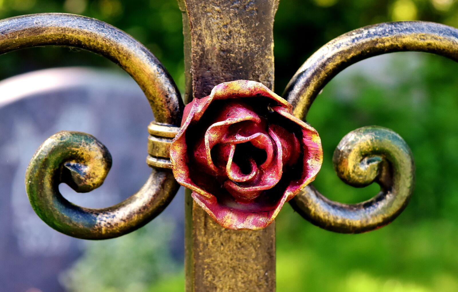 Nikon D7200 sample photo. Rose, iron, red photography