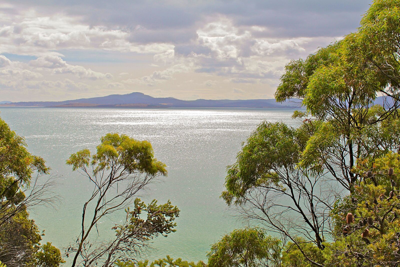 Canon EOS 600D (Rebel EOS T3i / EOS Kiss X5) sample photo. Australia, tasmania, nature photography