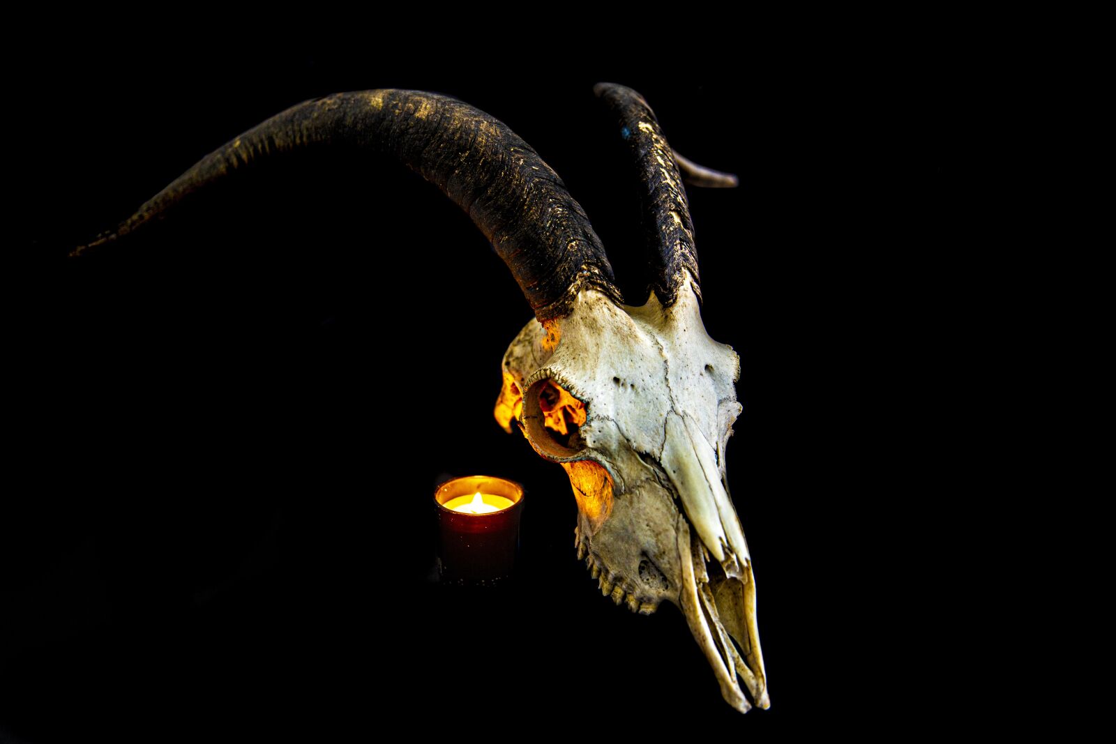 Canon 24-70mm F2.8 DG OS HSM | Art 017 sample photo. Skull, death, skeleton photography