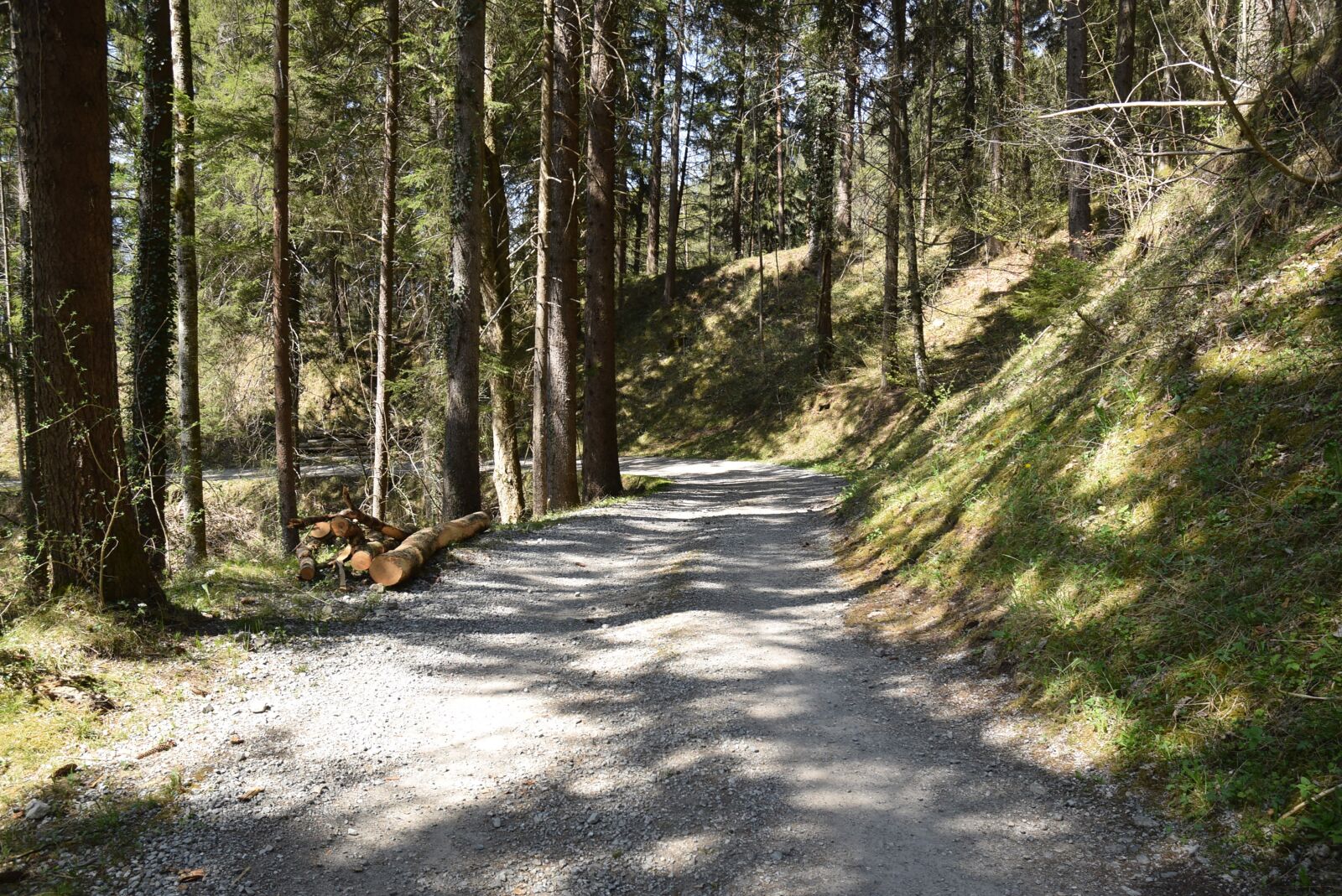 Nikon D5300 sample photo. Forest path, walk, away photography