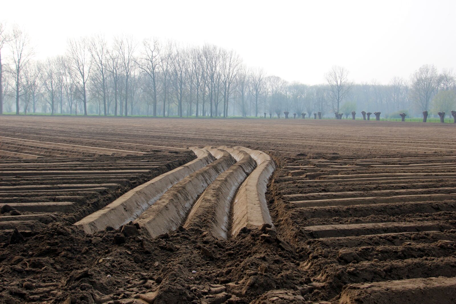 Canon EOS 600D (Rebel EOS T3i / EOS Kiss X5) sample photo. Spring, agricultural land, plowed photography